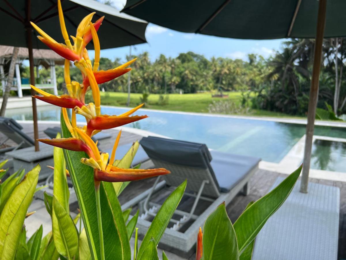 Coco Verde Bali Resort تاناه لوت المظهر الخارجي الصورة